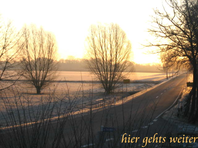 Weiter zur Lensianer Homepage