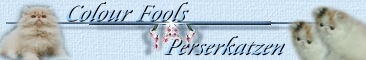 08+Tierwelt+Hunde+Katzen
Colourfools Perserkatzen in Bicolour Harlekin und Van
Wir haben eine kleine Hobbyzucht von Perserkatzen in den Farben Bicolour  Calico Harlekin und Van mit viel Weiss. Alle Katzen sind CFA registriert und d�rfen sich frei bewegen. Ausserdem befinden sich aktuelle Warnmeldungen �ber Tierf�nger im ganzen Bundesgebiet auf unserer Homepage. Schauen Sie einfach vorbei